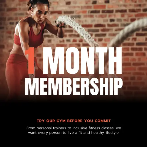 Basic / 1 Month